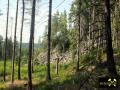 Granit-Steinbruch Lenk am Epprechtstein bei Kichenlamitz, Fichtelgebirge, Bayern, (D) (18) 25. Juli 2012.JPG